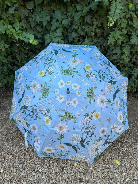 Botanical Umbrella