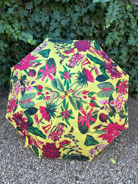 Botanical Umbrella